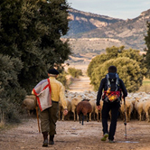 Caminos del Sureste